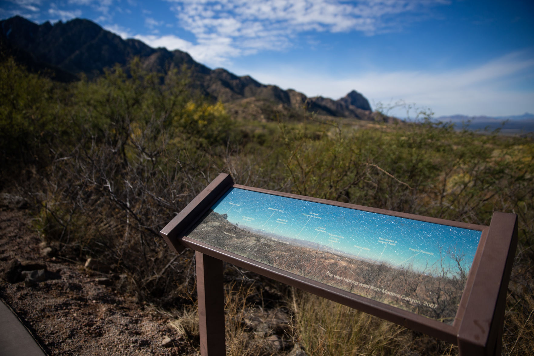 Proctor Loop Trail Opening